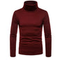 Pull col roulé homme – Maille épaisse